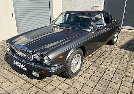 Jaguar XJ12 Double Six Daimler *Sammlerzustand