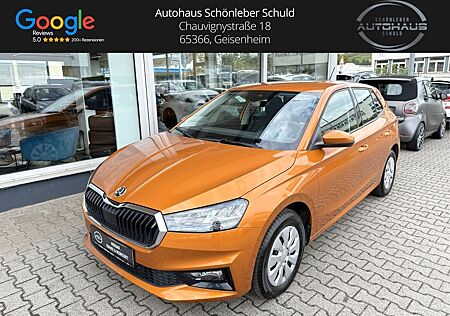 Skoda Fabia Selection *1. HD*LED*SITZH*CARPLAY*TEMPOM*