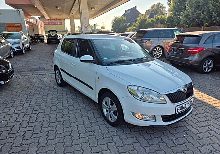 Skoda Fabia Fresh-Top Zustand