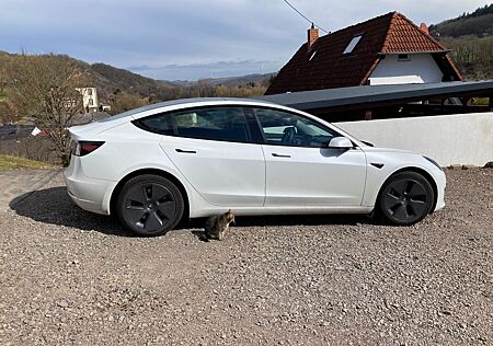 Tesla Model 3 Hinterradantrieb RWD RWD