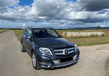 Mercedes-Benz GLK 220 CDI Pano Easy Pack BiX AHK Sport P. Navi