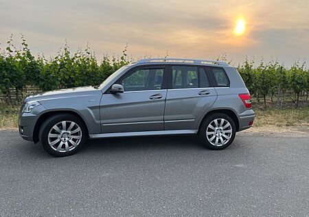 Mercedes-Benz GLK 220 CDI 4MATIC BlueEFFICIENCY -