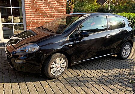 Fiat Punto 1.2 8V POP POP