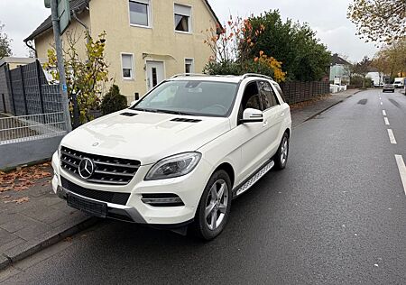 Mercedes-Benz ML 350 CDI 4MATIC Edition 1 Designo Kamera