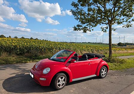 VW New Beetle Volkswagen 1.4 Cabriolet Standard