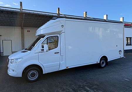 Mercedes-Benz Sprinter III Pritsche Koffer 319 CDI/PARAGAN
