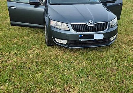 Skoda Octavia 1.4 TSI mit Standheizung Tüv 07/27