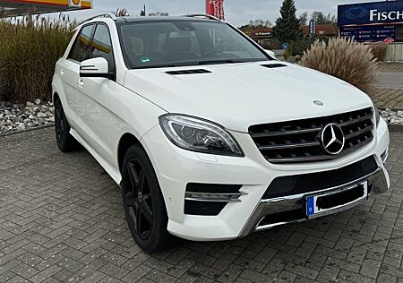 Mercedes-Benz ML 350 CDI 4MATIC AMG Panorama Harman Kardon