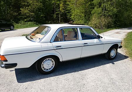 Mercedes-Benz 240 D, Oldtimer , Orginalzstd, SH gepflegt!!