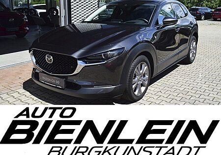 Mazda CX-30 2.0 150PS Selection A18 Design-P Standheiz