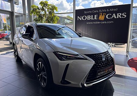 Lexus UX 250 h Style Edition Full Link RFK KLIMA LED