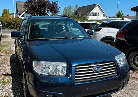 Subaru Forester gebraucht kaufen Subaru Forester 2.0 X Active
