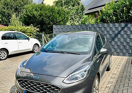 Ford Fiesta 1,0 EcoBoost 74kW S/S Vignale Automat...