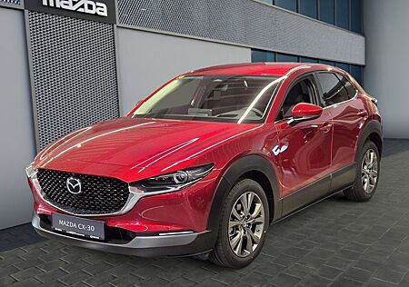 Mazda CX-30 Exclusive e-SKYACTIV X 186 Bose-Navi CX-