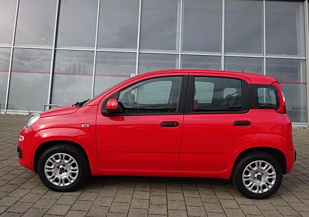 Fiat Panda 1,2 Easy