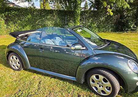 VW Beetle Volkswagen Cabrio