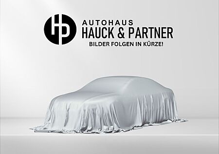 BMW X6 M50 d xDrive *M-Sitze *H&K *AHK *Belüftung