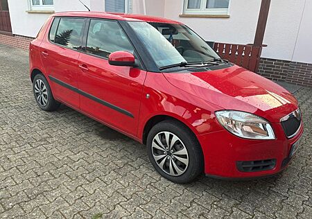 Skoda Fabia 1.2l 51 kW rot