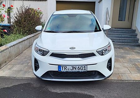 Kia Stonic gebraucht kaufen Kia Stonic 1.2 Edition 7 Edition 7