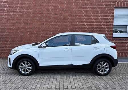 Kia Stonic Edition 7 "Klima"SiHz"LenkHz"A-Carplay