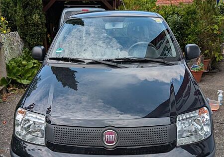 Fiat Panda 169 (AXF1A, BJ 2012)