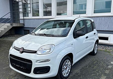 Fiat Panda 1.2l | Insp. & Tüv NEU | Allwetter |