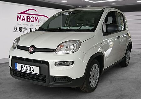 Fiat Panda Pandina 1.0 GSE