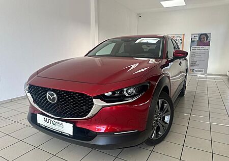 Mazda CX-30 BoseLaut*360Kamera*HeadUp*