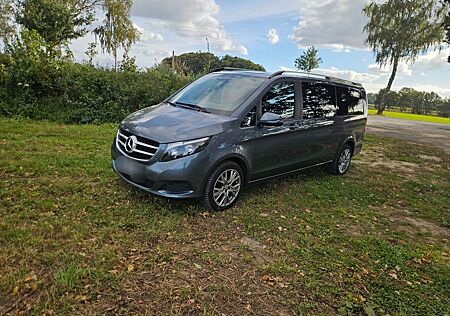 Mercedes-Benz V 250 gebraucht kaufen Mercedes-Benz V 250 d Aut. EDITION extralang 190 PS