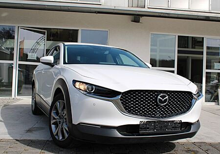 Mazda CX-3 CX-30 Basis 2WD