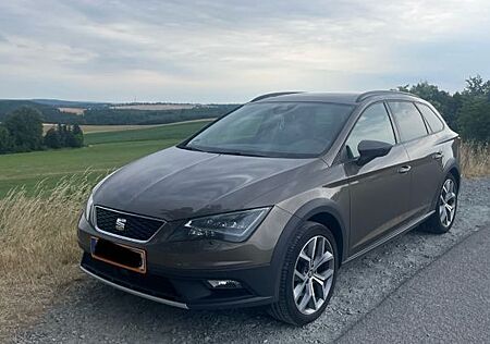 Seat Leon X-PERIENCE 1.8 TSI 132kW S.&S. 4Dri. DS...