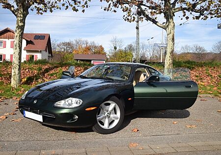Jaguar XK8 Coupe in British Racing Green