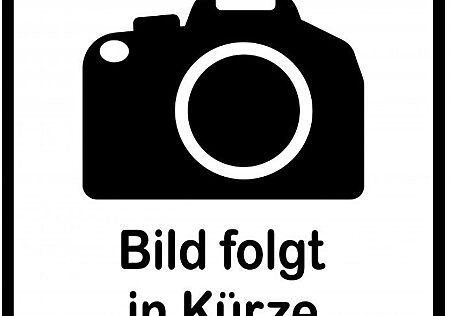 Ford Explorer Premium RWD Nur 241 km