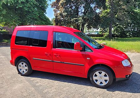 VW Caddy Volkswagen Life Gewinner
