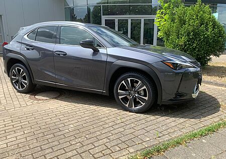 Lexus UX 250 h, Style Edition, ACC, Kamera