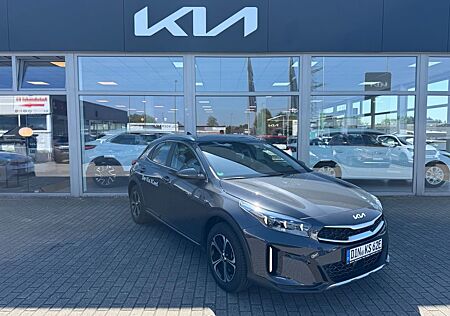 Kia XCeed 1.6Plug-Hybrid Spirit Navi Totwinkel ACC