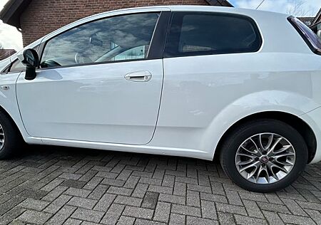 Fiat Punto 1.2 8V POP POP