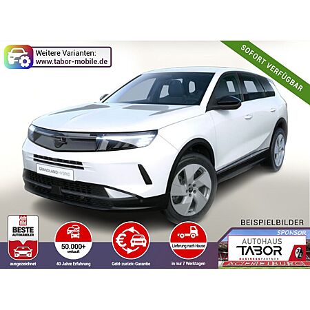 Opel Grandland X leasen