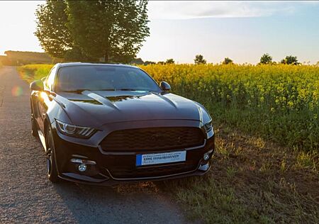 Ford Mustang 5.0 Ti-VCT V8 GT GT