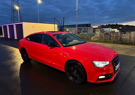 Audi A5 gebraucht kaufen Audi A5 3.0 TDI 160kW S tronic quattro Sportback -