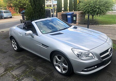 Mercedes-Benz SLK 250 CDI BueEFFICIENCY Roadster