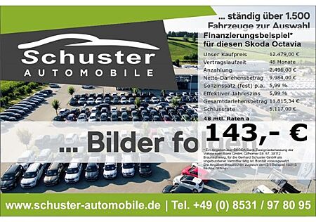 Skoda Octavia Combi 1.6TDI*Navi Tempo SHZ PDC Nebelsch