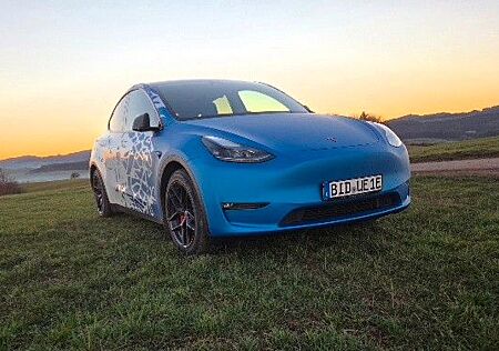 Tesla Model Y Performance Dual Motor AWD Performance