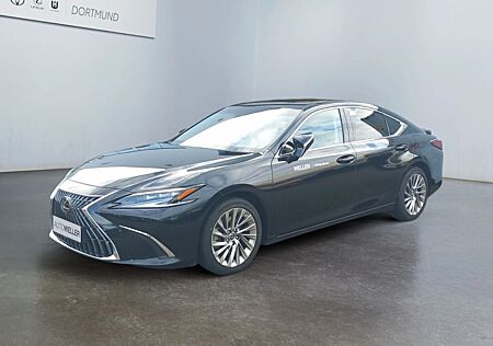 Lexus GS 300 ES 300 h Luxury Line *HUD*Pano*360*Leder*LED*