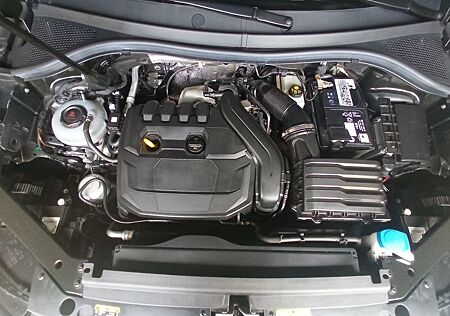 VW Tiguan Volkswagen 1.5 TSI OPF DSG Elegance Elegance