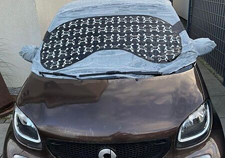 Smart ForTwo cabrio Sitzheizung optional GarantiePaket