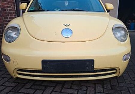 VW Beetle Volkswagen