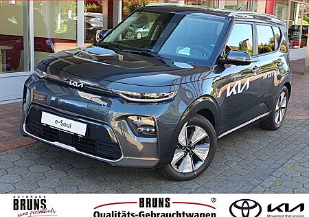 Kia Soul e- Inspiration Leder AHK WP GD