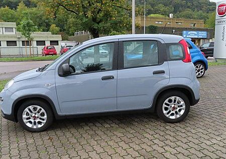 Fiat Panda City Life 1,0 Mild Hybrid 70PS Grau-Blau +