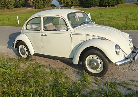 VW Käfer Volkswagen